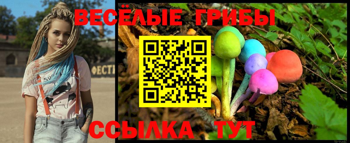 Псилоцибиновые грибы ЛСД Минеральные Воды