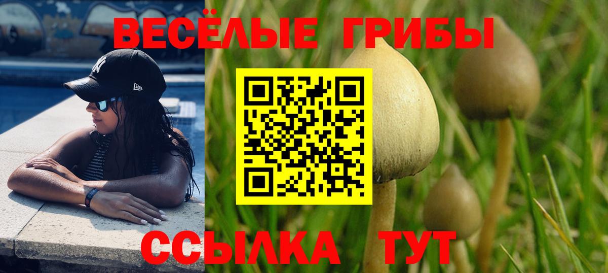 Галлюциногенные грибы GOLDEN TEACHER  Вход с VPN  Псилоцибиновые грибы Psilocybe  Минеральные Воды 